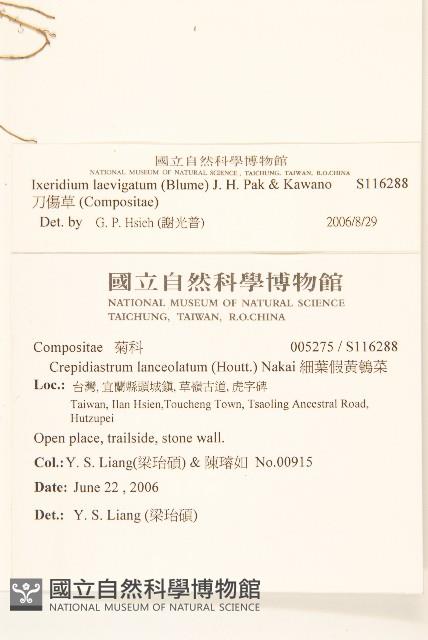 刀傷草藏品圖，第2張