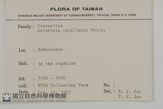 高山艾藏品圖，第2張