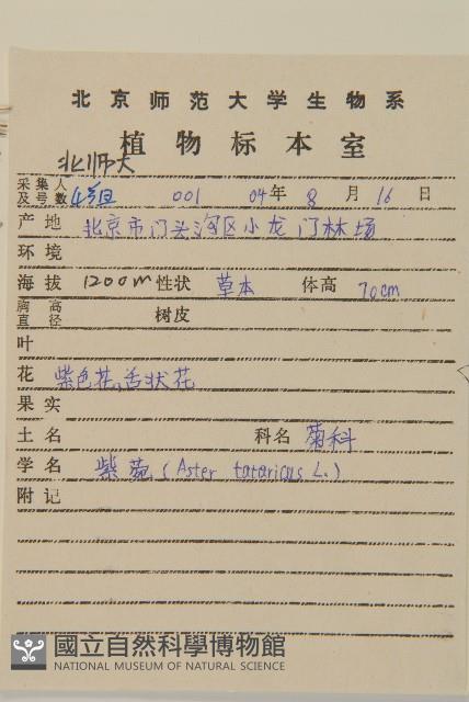 紫菀藏品圖，第2張