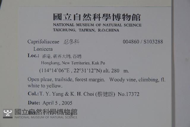 登錄號:S103288藏品圖，第2張