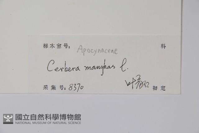 海檬果藏品圖，第2張