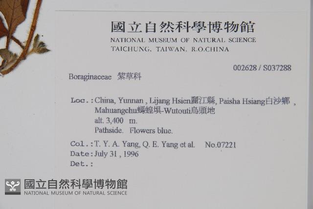 登錄號:S037288藏品圖，第2張