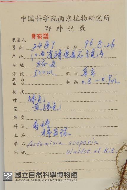 黃蒿藏品圖，第2張