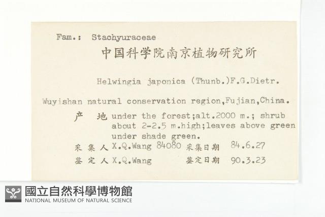 青莢葉藏品圖，第2張