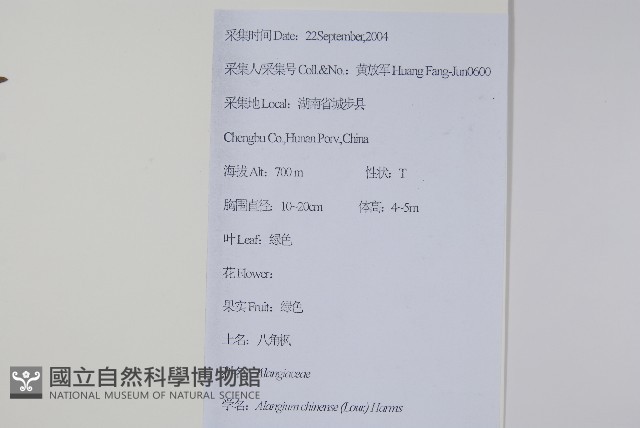 八角楓藏品圖，第2張