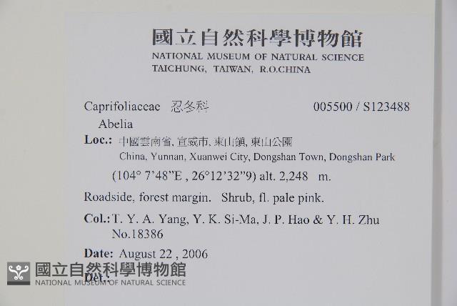 登錄號:S123488藏品圖，第2張