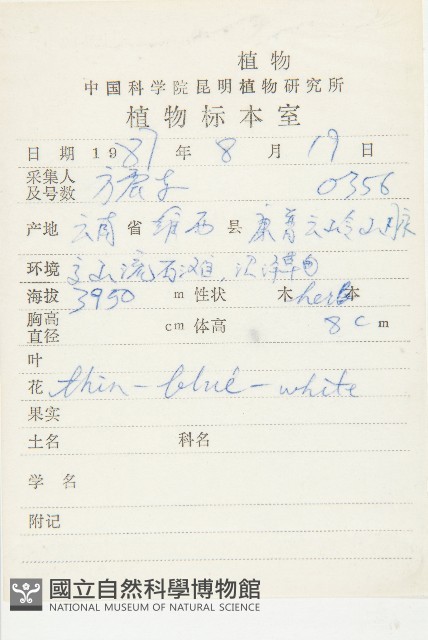 粗壯單花芥藏品圖，第2張
