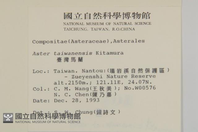 臺灣馬蘭藏品圖，第2張