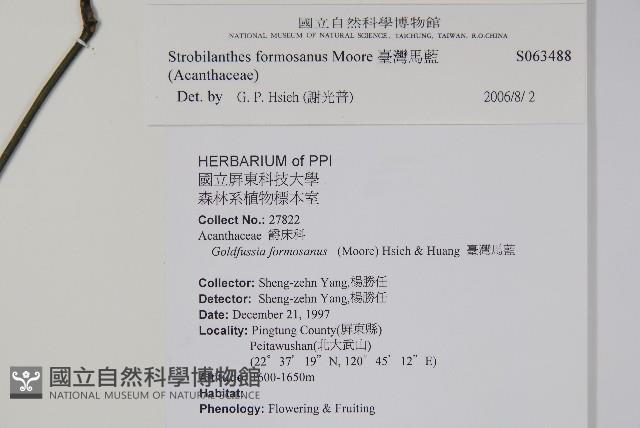 臺灣馬藍藏品圖，第2張