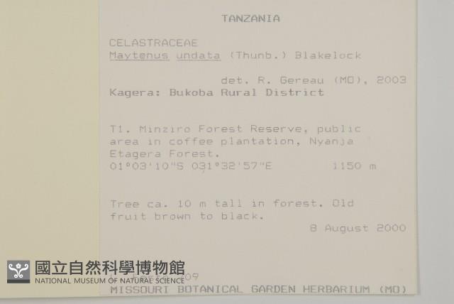 登錄號:S097488藏品圖，第2張