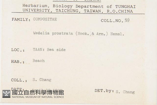 天蓬草舅藏品圖，第2張