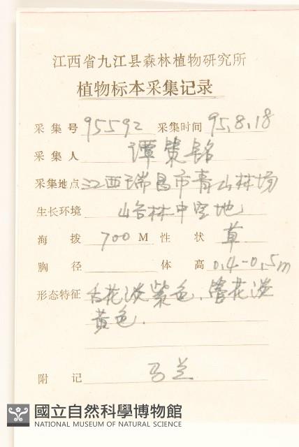 雞兒腸藏品圖，第2張