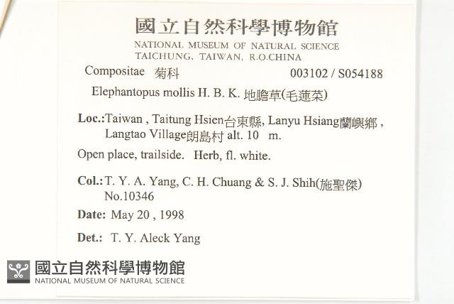 地膽草、毛蓮菜藏品圖，第2張