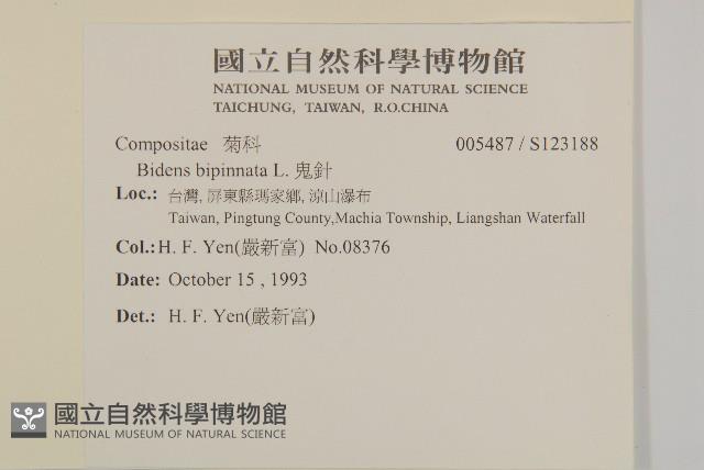 鬼針藏品圖，第2張