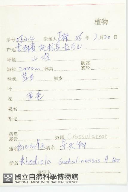 登錄號:S113188藏品圖，第2張