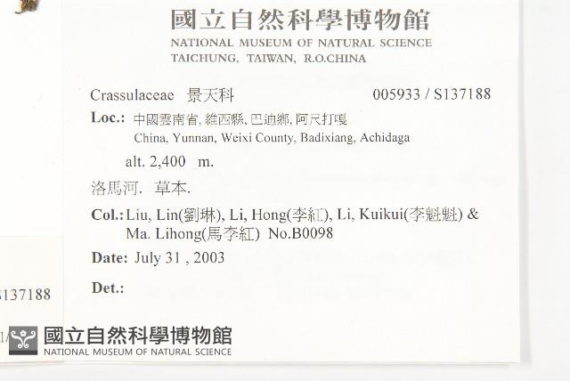 登錄號:S137188藏品圖，第2張