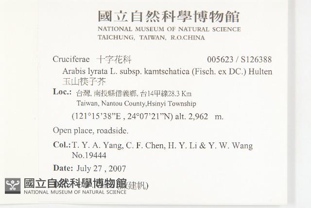 玉山筷子芥藏品圖，第2張