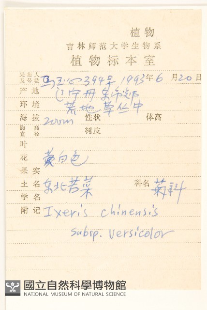 兔子菜藏品圖，第2張