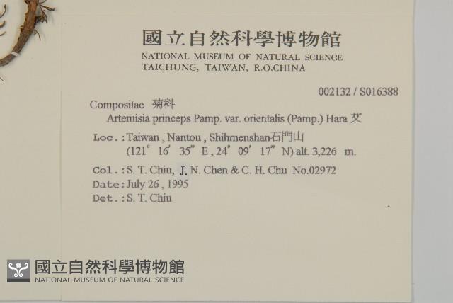 高山艾藏品圖，第2張