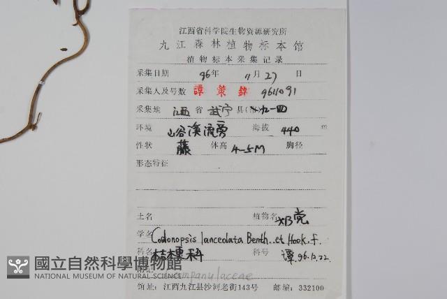 羊乳、四葉參藏品圖，第2張