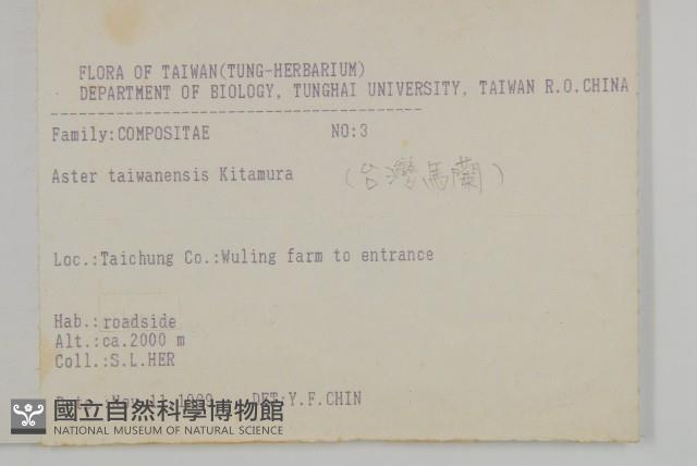 臺灣馬蘭藏品圖，第2張