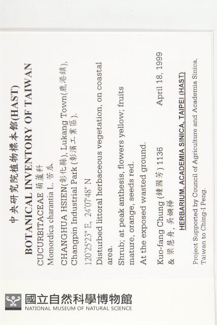 苦瓜藏品圖，第2張