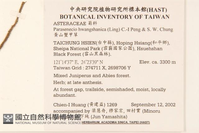 黃山蟹甲草藏品圖，第2張