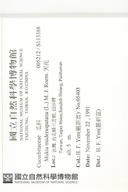 天花藏品圖，第2張