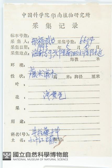 紅葉藤藏品圖，第2張