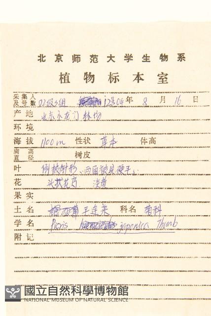 毛蓮菜藏品圖，第2張