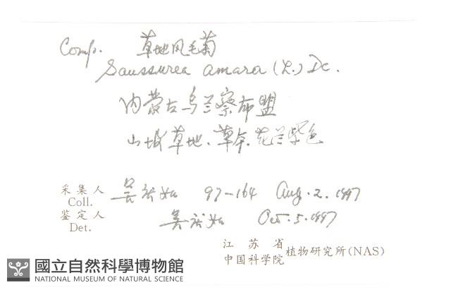 草地風毛菊藏品圖，第2張