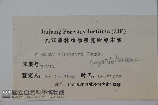 莢迷藏品圖，第2張