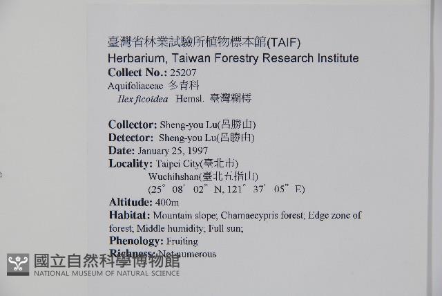 臺灣糊樗藏品圖，第2張