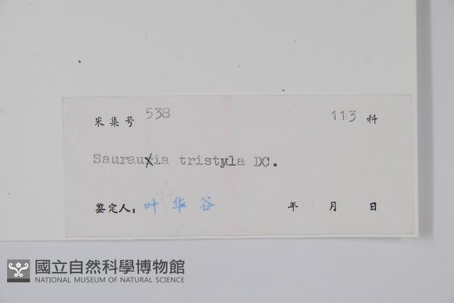 水東哥藏品圖，第2張