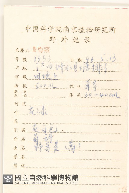 細葉苦實藏品圖，第2張
