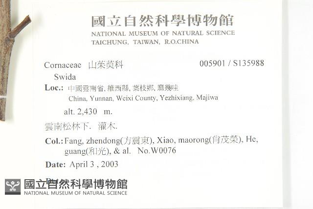 登錄號:S135988藏品圖，第2張