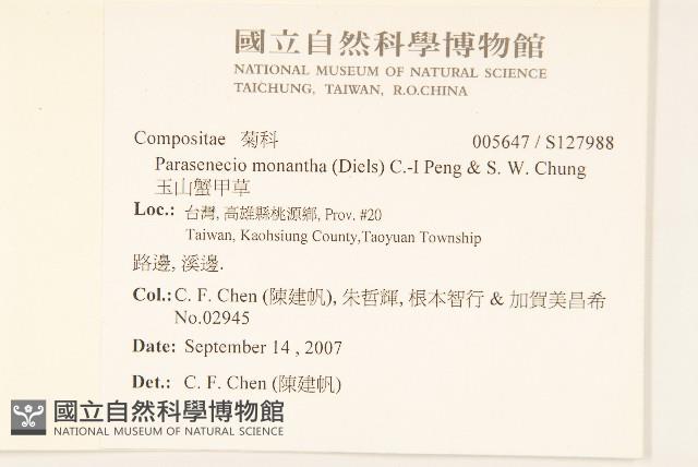 玉山蟹甲草藏品圖，第2張