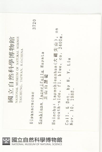 玉山山蘿蔔藏品圖，第2張