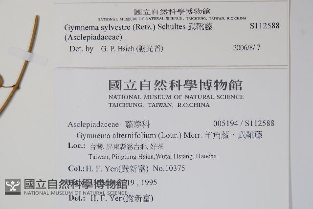 Taiwan Cow-plant Collection Image, Figure 2, Total 2 Figures