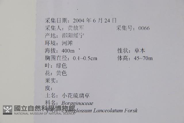 小花倒提壺藏品圖，第2張