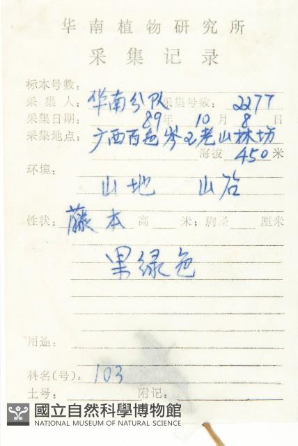 裸瓣瓜藏品圖，第2張