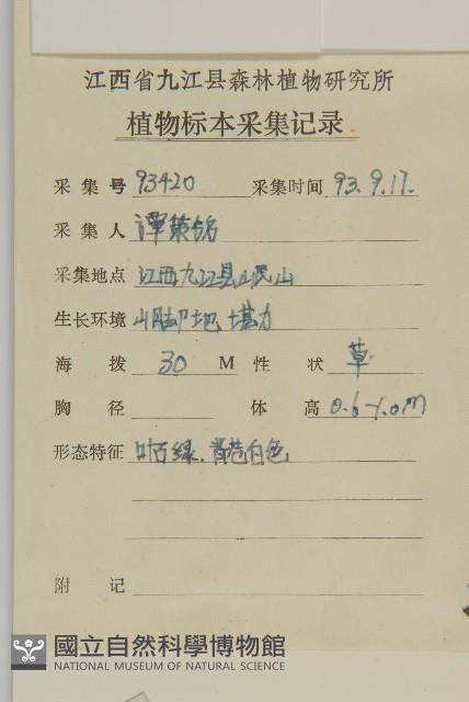 艾蒿藏品圖，第2張