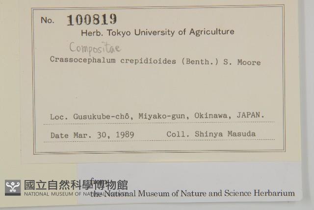 昭和草藏品圖，第2張