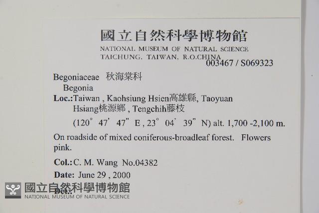 登錄號:S069323藏品圖，第2張