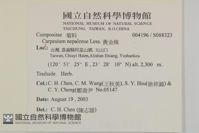 黃金珠藏品圖，第2張