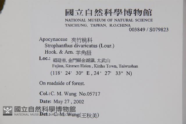 羊角扭藏品圖，第2張