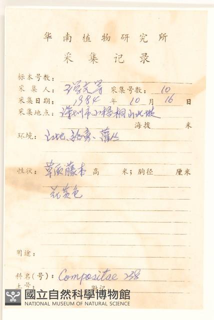 蔓黃菀藏品圖，第2張