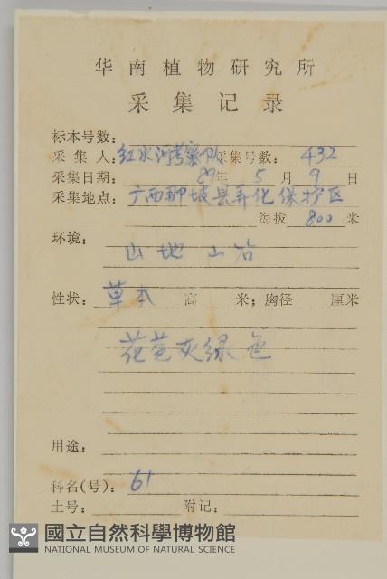 藜、灰藜藏品圖，第2張