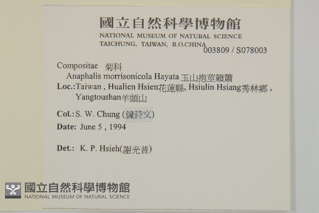 玉山抱莖籟簫藏品圖，第2張