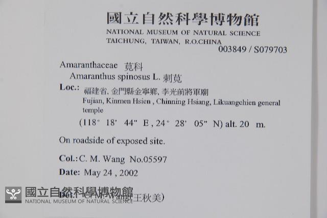 刺莧藏品圖，第2張